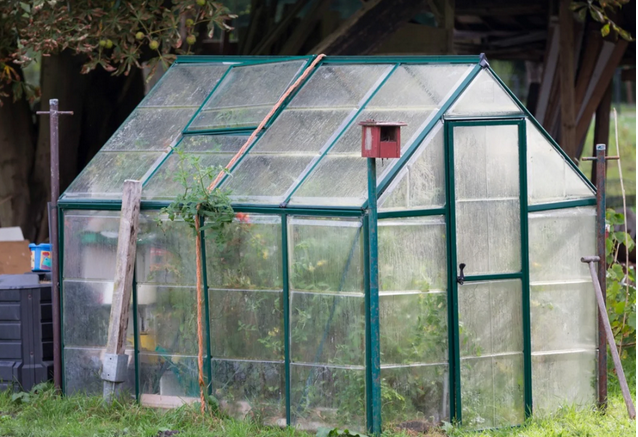 Elevating Plant Parenthood: Investing in Greenhouses post thumbnail image
