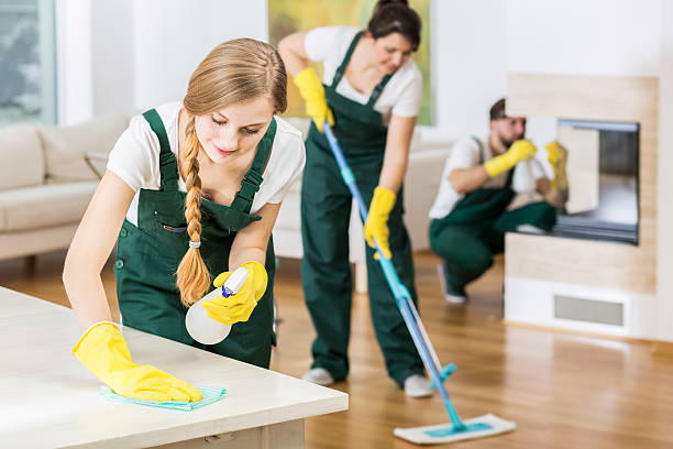 Carpet Cleaning Services Near Me: Revive Your Floors post thumbnail image